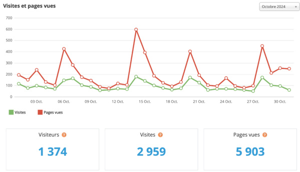 Statistiques visites octobre 2024