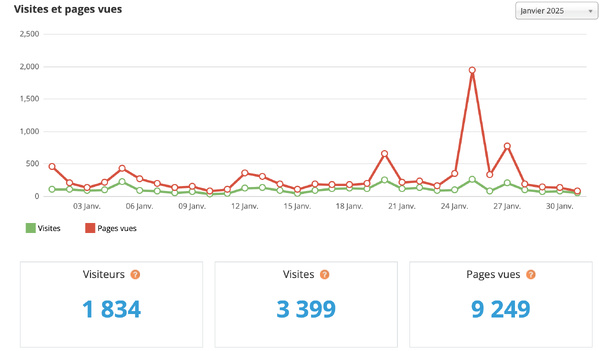 Statistiques visites janvier 2025